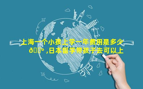 上海一个小孩上学一年费用是多少 🌺 ,日本留学带孩子去可以上学吗